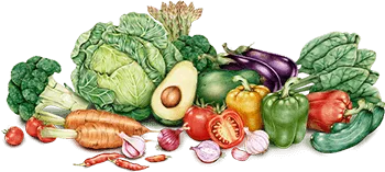 Health Coaching 14 Shape Image