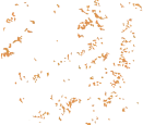 Health Coaching 6 shape image