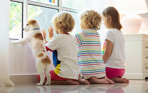 Good Pets For Kids: Choosing The Right Pet For Your Family